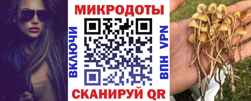 Галлюциногенные грибы прущие грибы  купить   hydra ссылки  Истра 